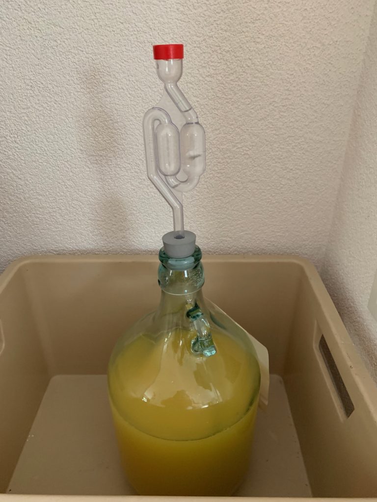 Mede in grote fles, open gisting
